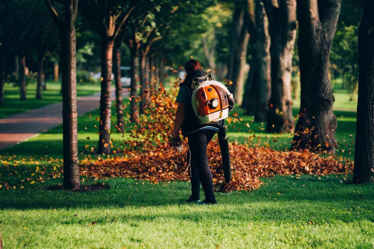  Ambler, PA TreeGuard Tree Service Pros